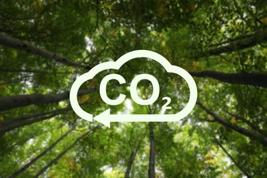Image of Concept of clear air. CO2 inscription in illustration of cloud with arrow and beautiful green trees, bottom view