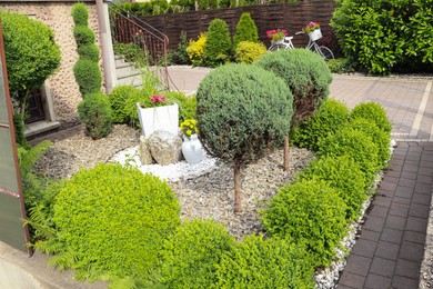 Photo of Beautiful gravel garden with different plants in yard