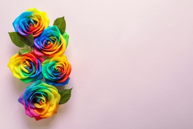 Photo of Rainbow rose flowers on color background, top view