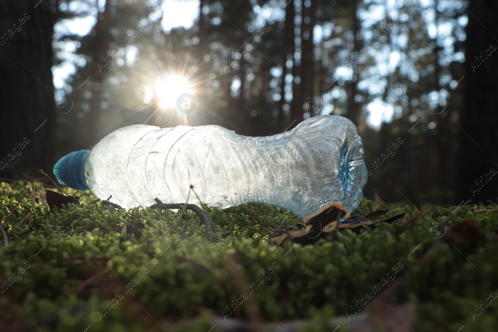 Photo of Used plastic bottle on grass in forest, closeup. Recycling problem