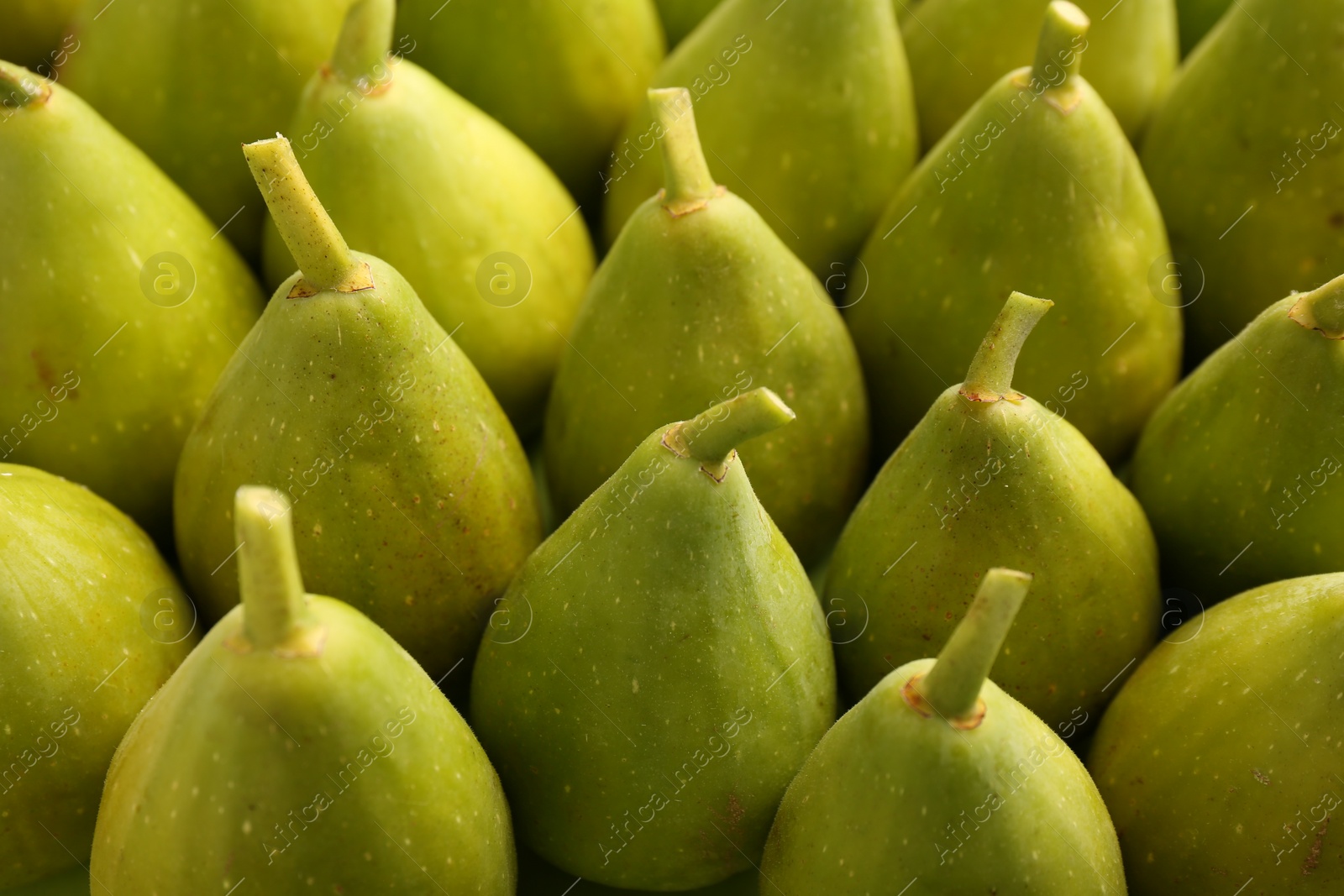 Photo of Many fresh green figs as background, closeup