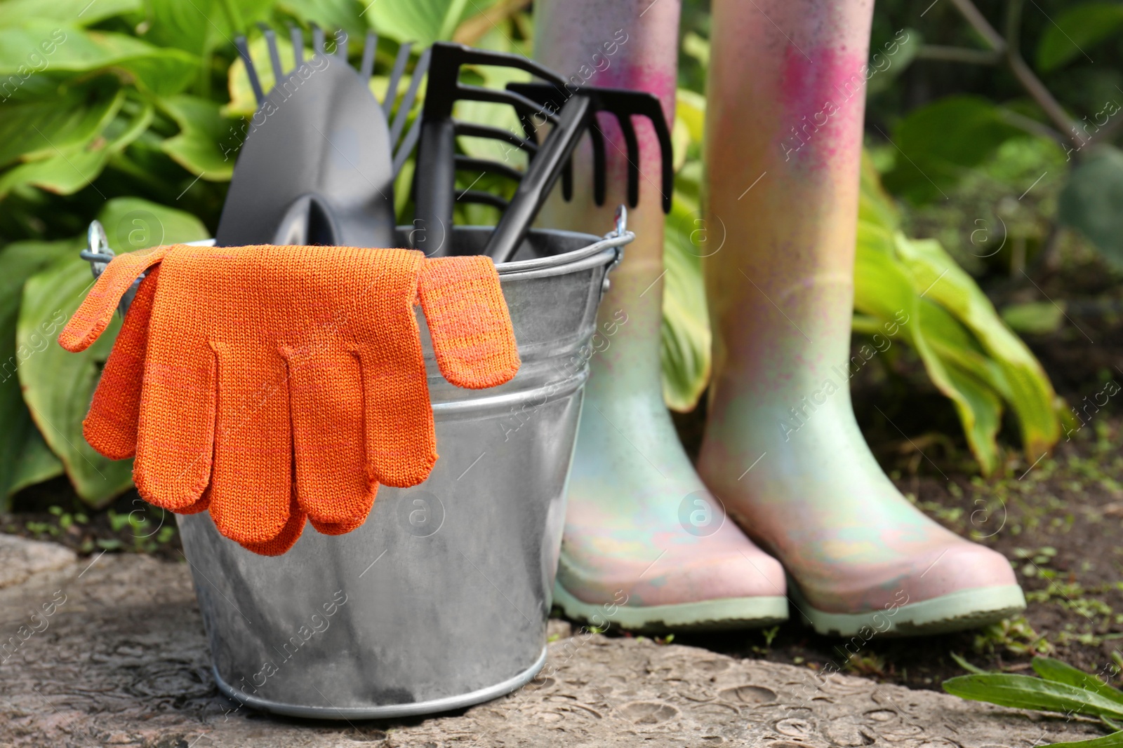 Photo of Metal bucket with gloves, gardening tools and rubber boots near plants outdoors