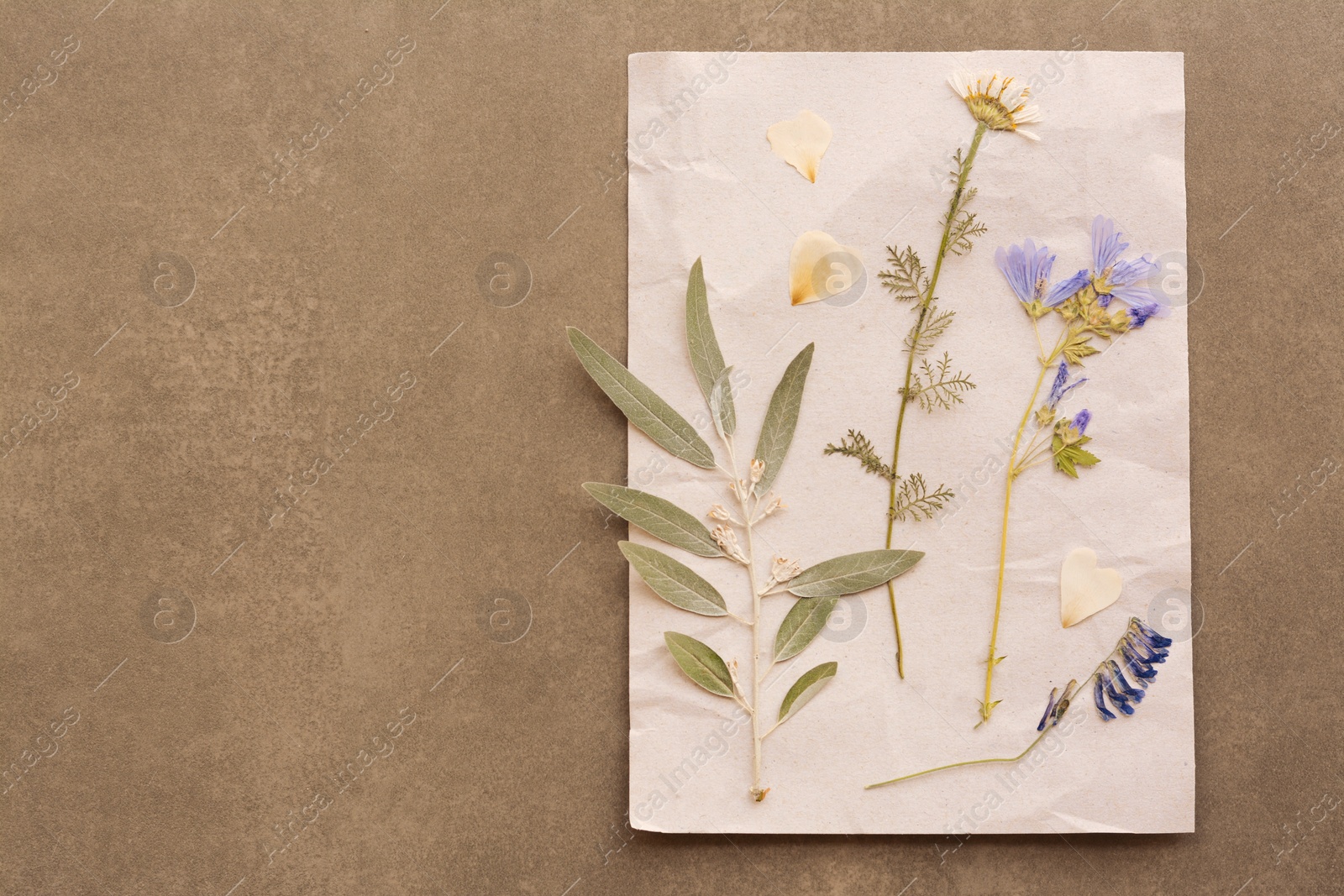 Photo of Sheet of paper with dried flowers and leaves on grey background, top view. Space for text