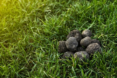 Photo of Fresh truffles on green grass, space for text