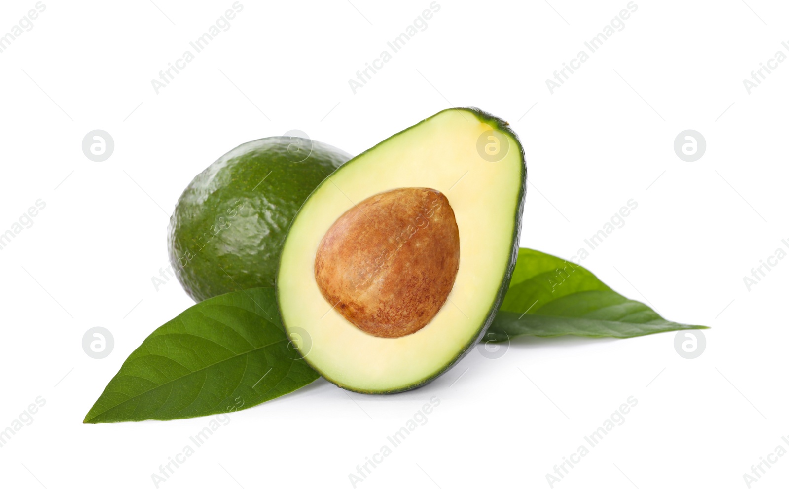 Photo of Whole and cut avocados isolated on white