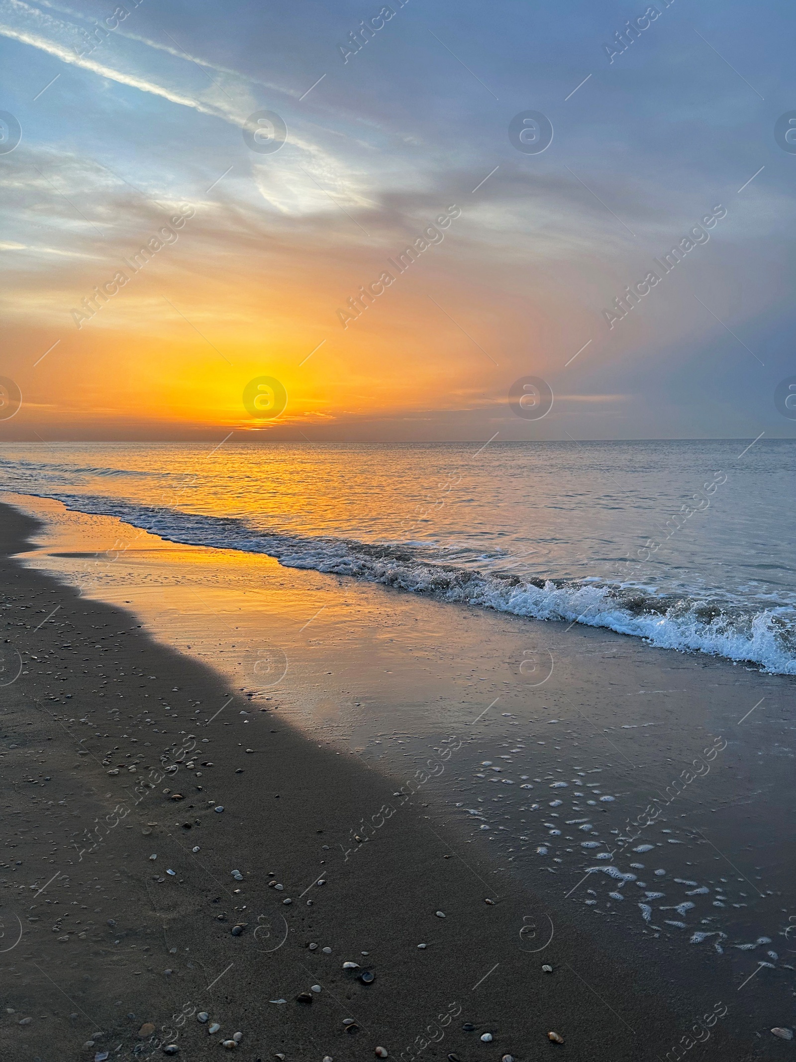 Photo of Beautiful view of sandy beach at sunrise