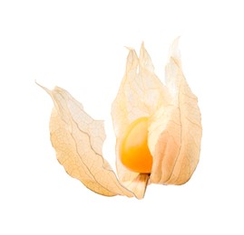 Photo of Ripe physalis fruit with calyx isolated on white