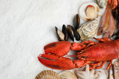 Photo of Fresh fish and seafood on ice, flat lay. Space for text