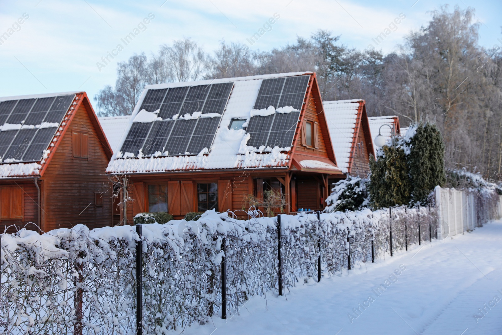 Photo of Winter landscape with beautiful houses, trees and bushes in morning