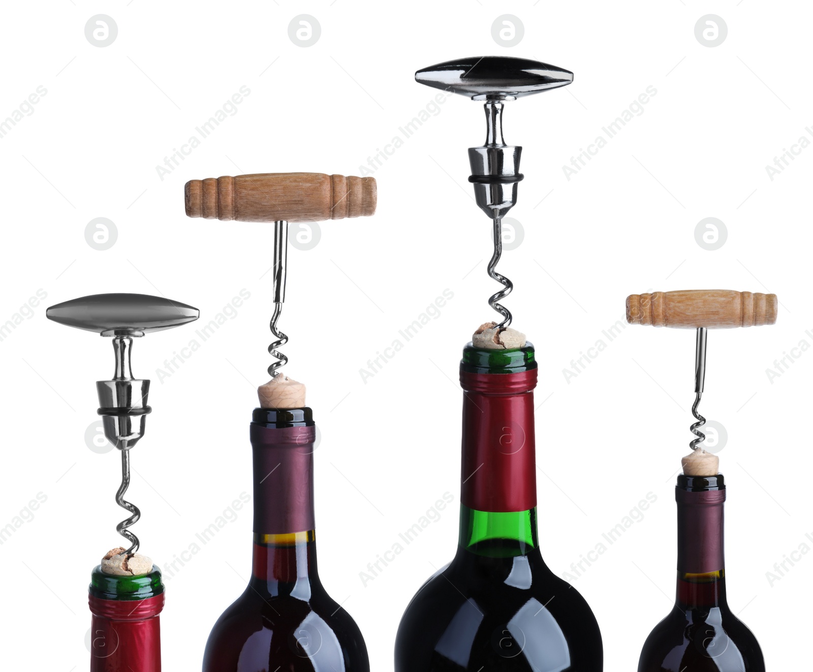 Image of Opening bottles of wine with corkscrews on white background