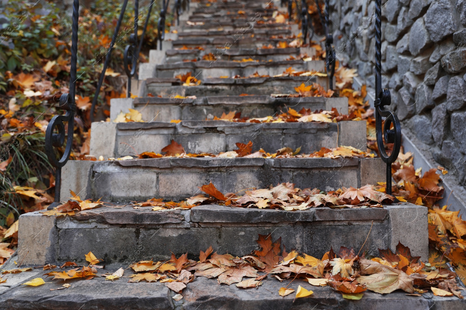 Photo of Stone stairs with fallen golden leaves outdoors. Autumn season