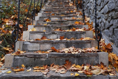 Photo of Stone stairs with fallen golden leaves outdoors. Autumn season