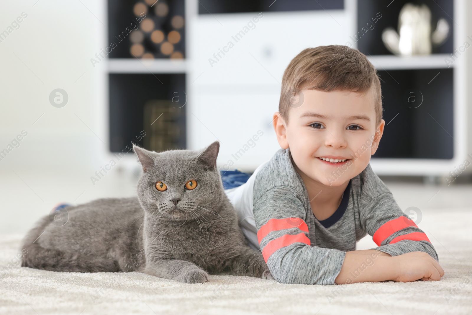 Photo of Cute little child with cat at home