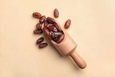 Photo of Scoop with sweet dried date fruits on color background, top view
