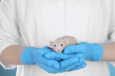 Photo of Scientist holding rat, closeup. Animal testing concept