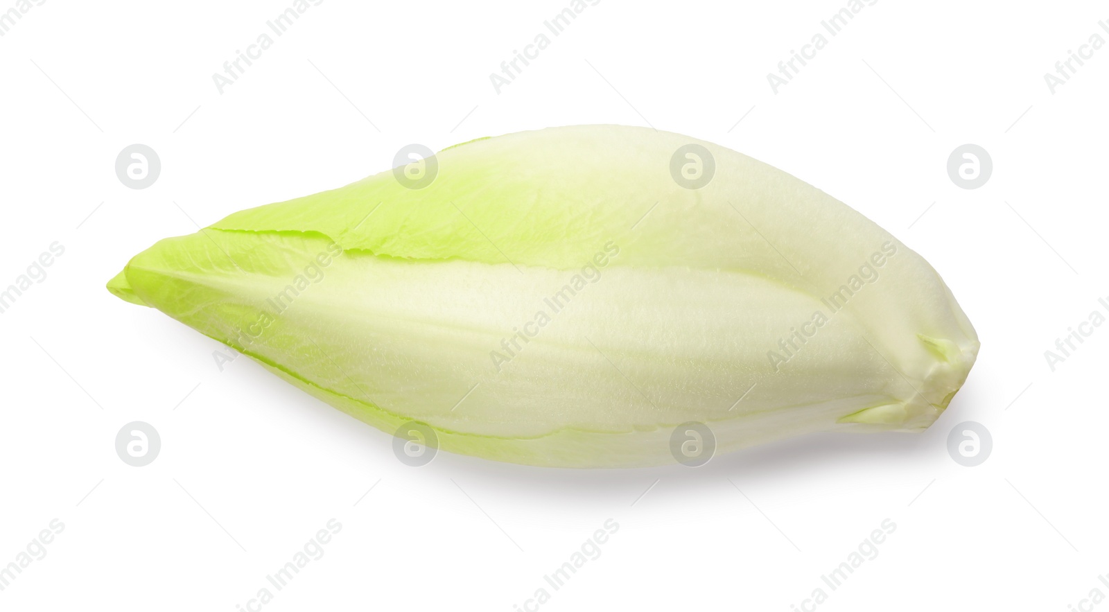 Photo of One raw ripe chicory isolated on white, top view