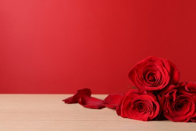 Beautiful roses and petals on wooden table against red background. Space for text