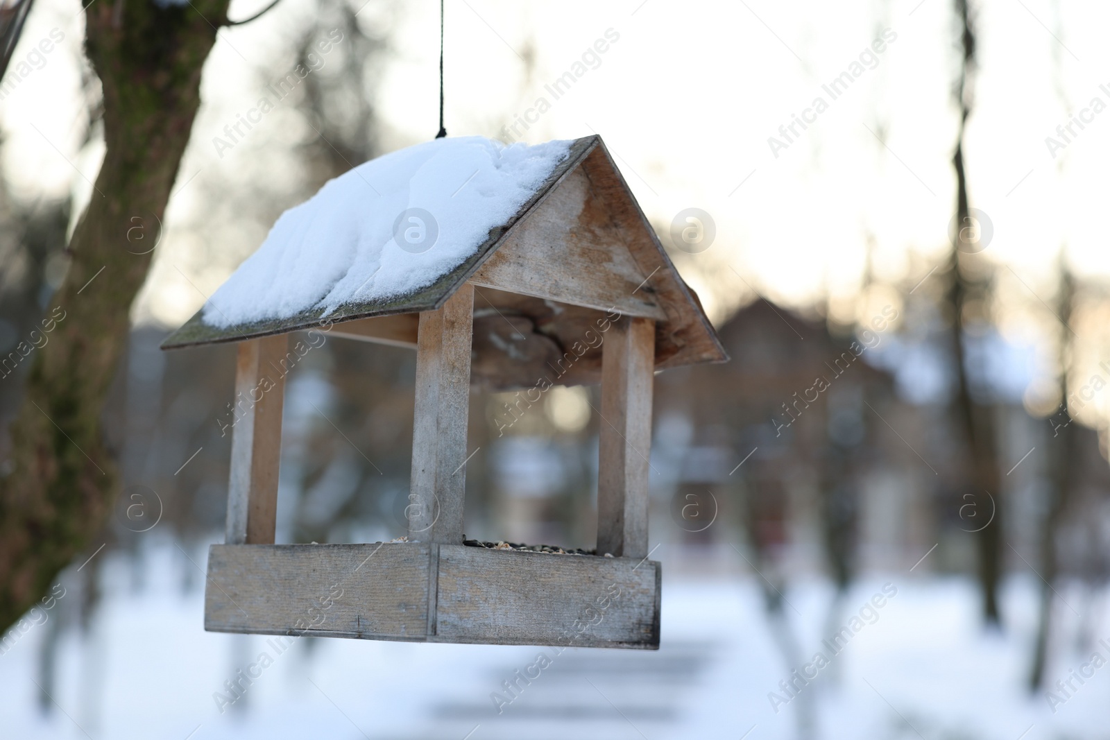 Photo of Wooden birdhouse hanging in park, space for text