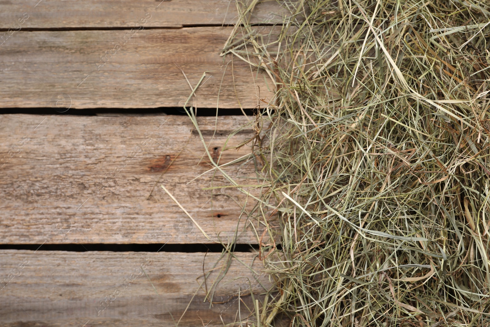 Photo of Dried hay on wooden table, top view. Space for text