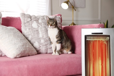 Photo of Cute cat on sofa near modern electric ultrared heater indoors