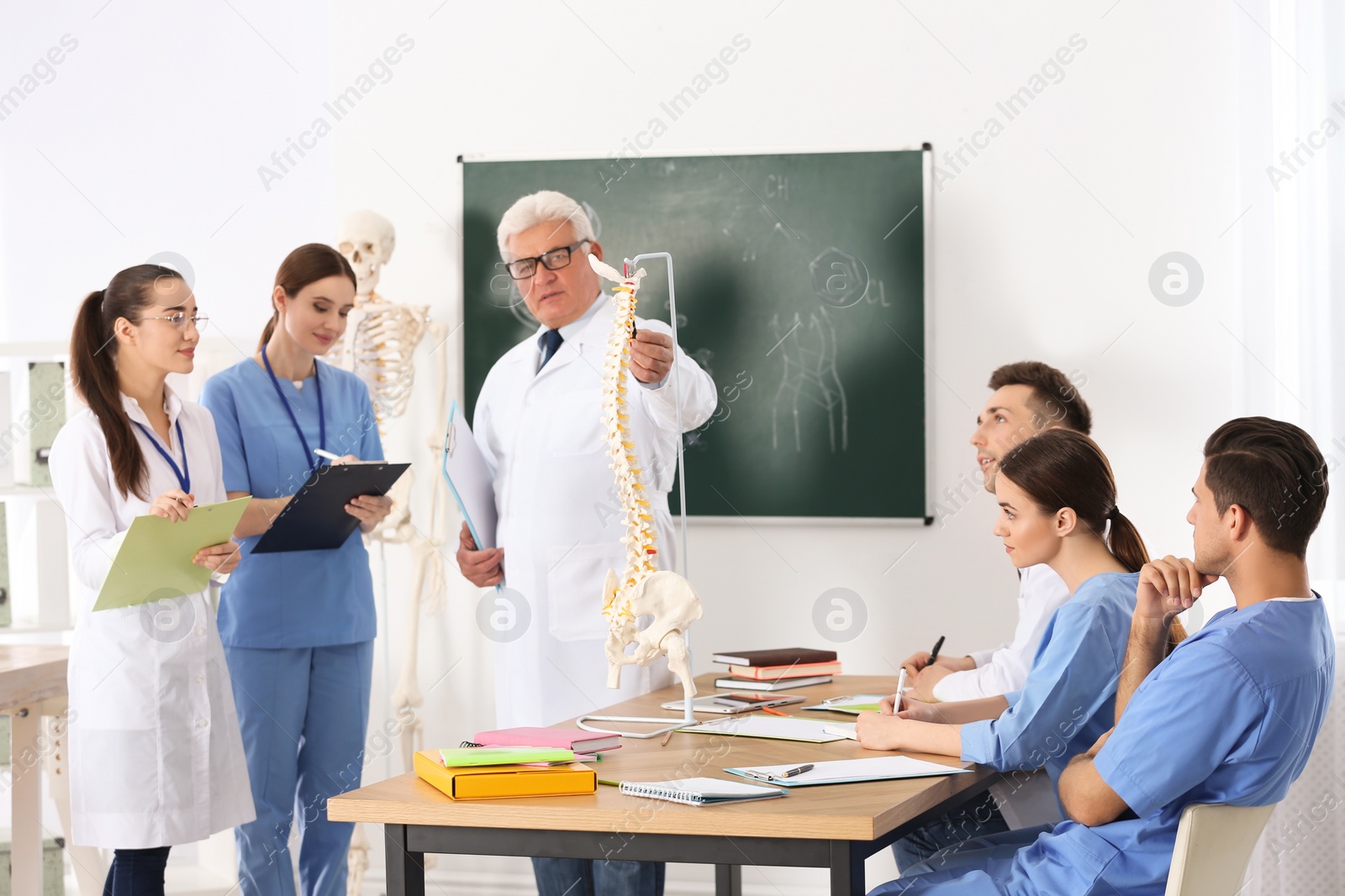 Photo of Medical students and professor studying human spine structure in classroom