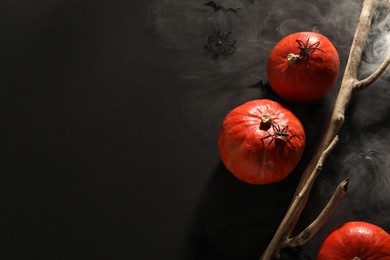 Halloween composition with pumpkins, decorative spiders and wooden branch on black background, above view. Space for text