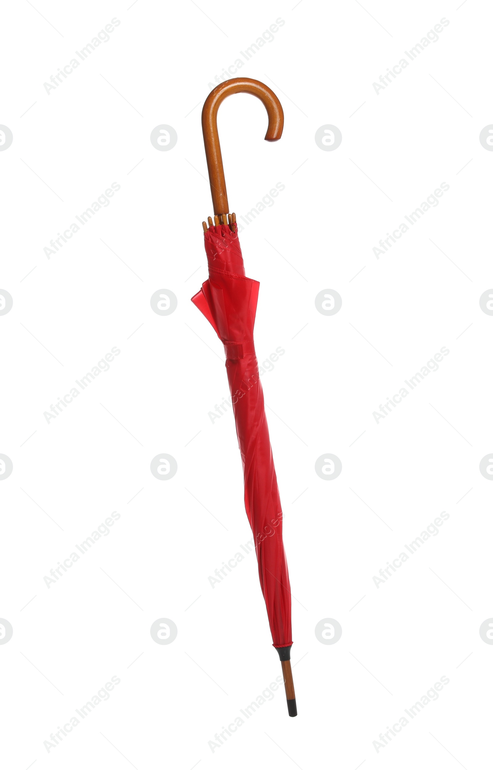 Photo of Beautiful umbrella on white background