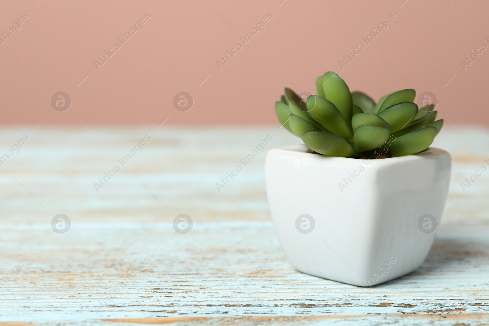 Photo of Artificial plant in white flower pot on light blue wooden table. Space for text