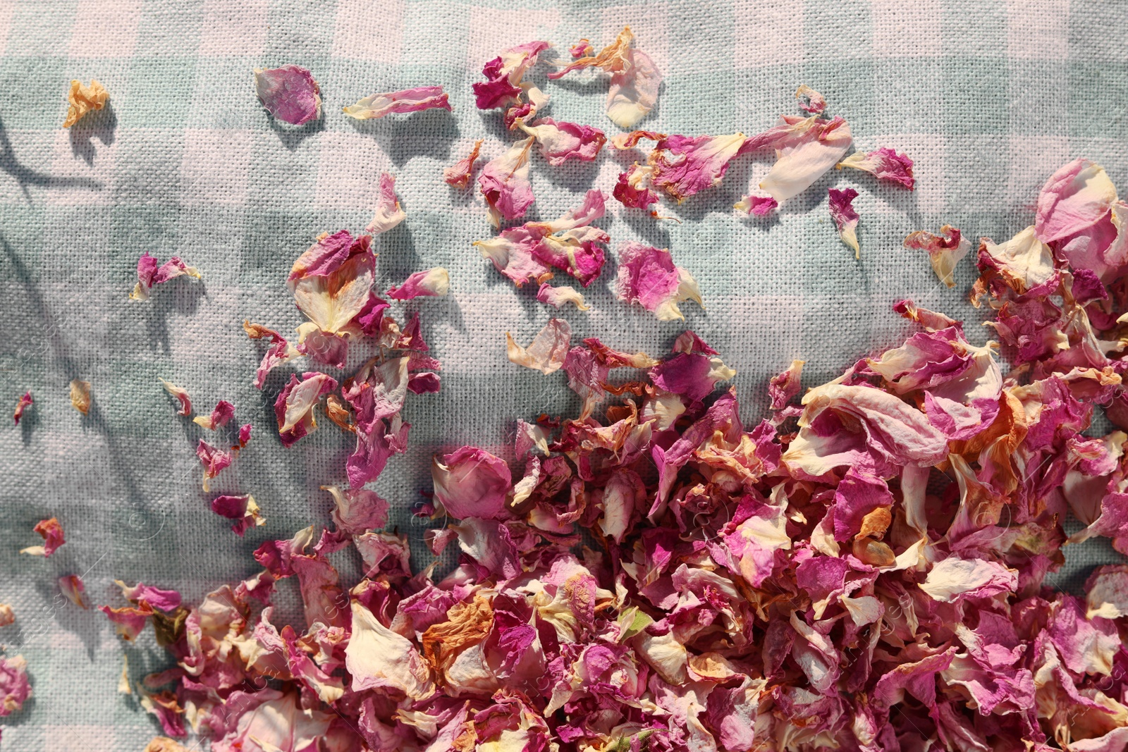 Photo of Scattered dried tea rose flowers and petals on checkered fabric, top view