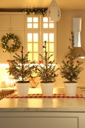 Small Christmas trees and festive decor in kitchen