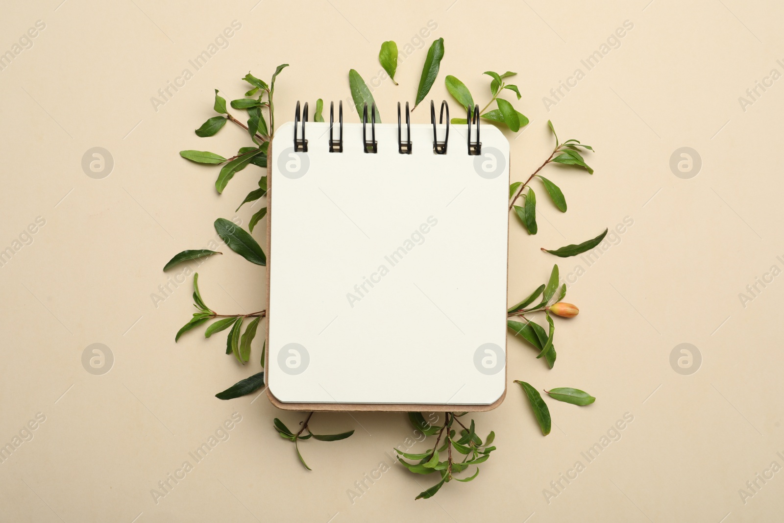 Photo of Flat lay composition with pomegranate branches and blank notepad on beige background. Space for text