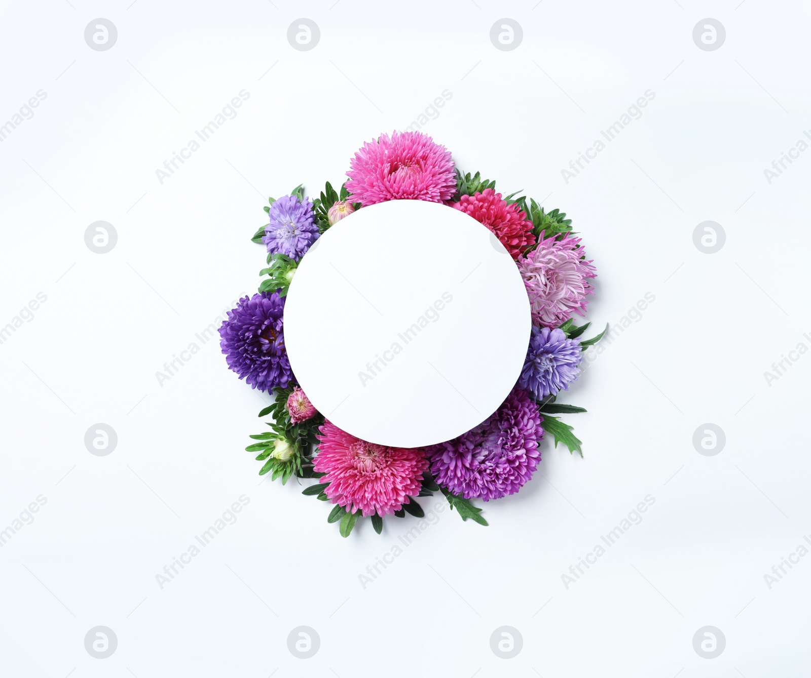 Photo of Beautiful aster flowers with sheet of paper on white background, top view. Space for text