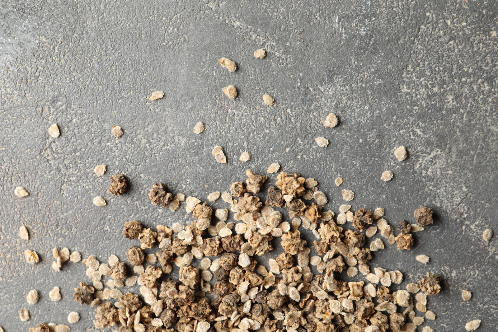 Photo of Mixed vegetable seeds on grey background, flat lay