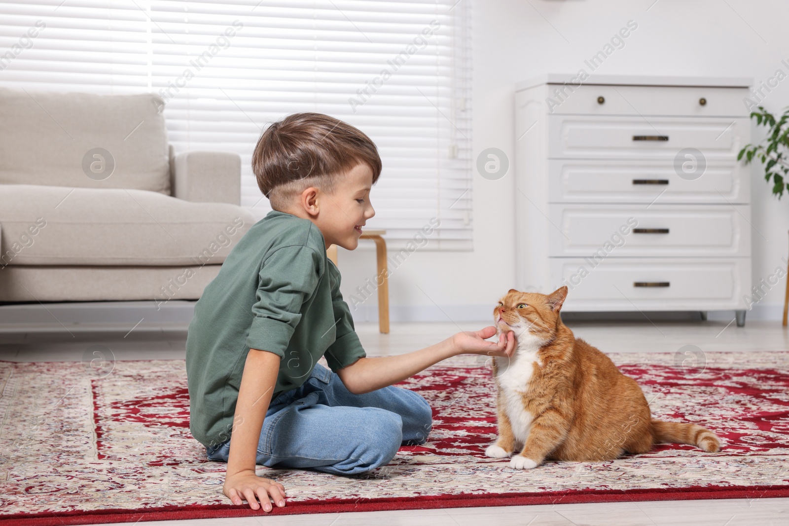 Photo of Little boy petting cute ginger cat on carpet at home