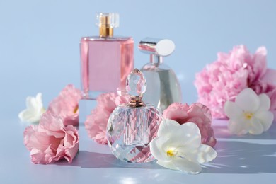 Photo of Bottles of luxury perfumes and floral decor on light grey background