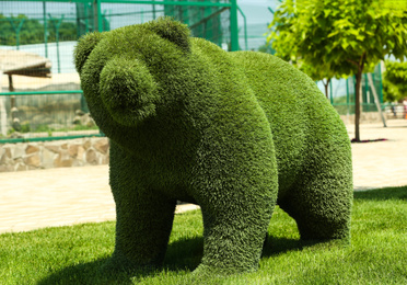 Photo of Beautiful bear shaped topiary at zoo on sunny day. Landscape gardening