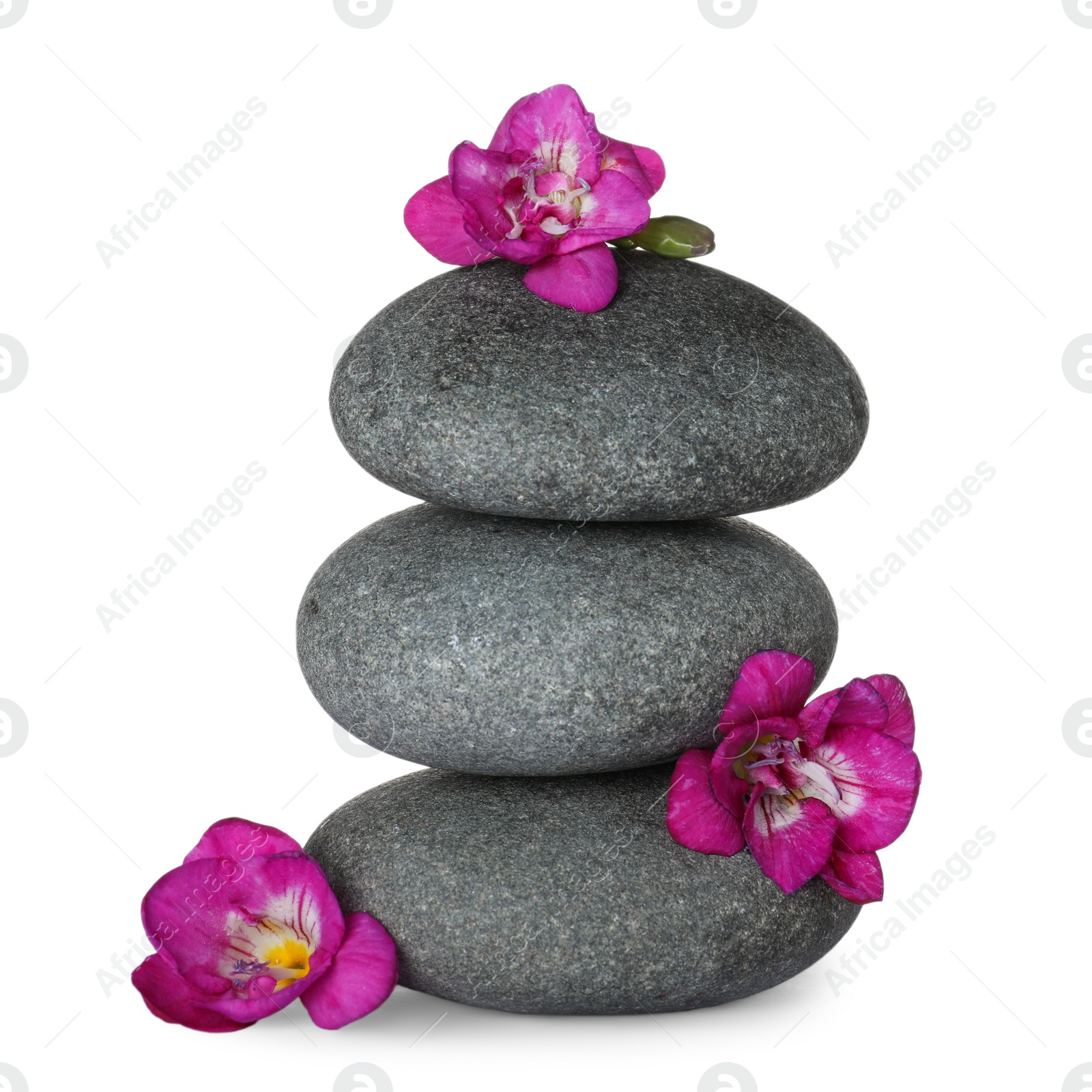 Photo of Stack of grey spa stones and fresh flowers isolated on white