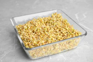 Photo of Glass bowl with sprouted green buckwheat on light grey table