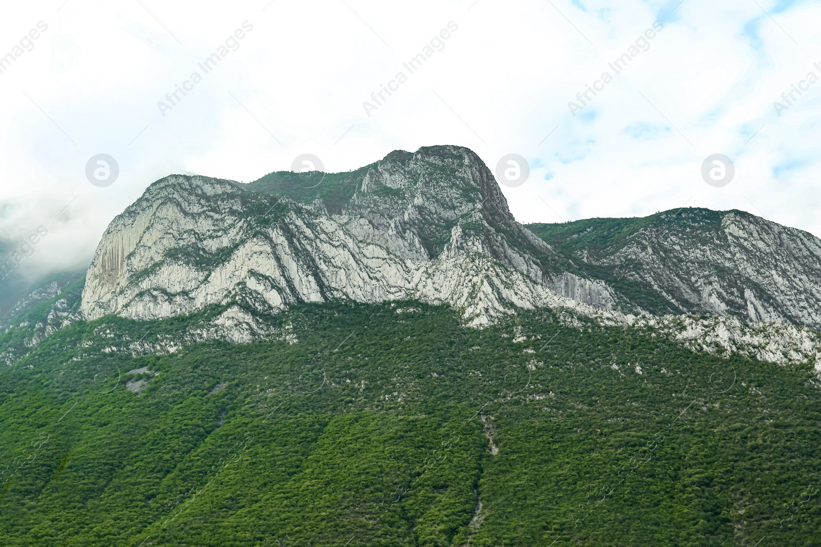 Photo of Majestic mountain landscape covered with greenery on cloudy day