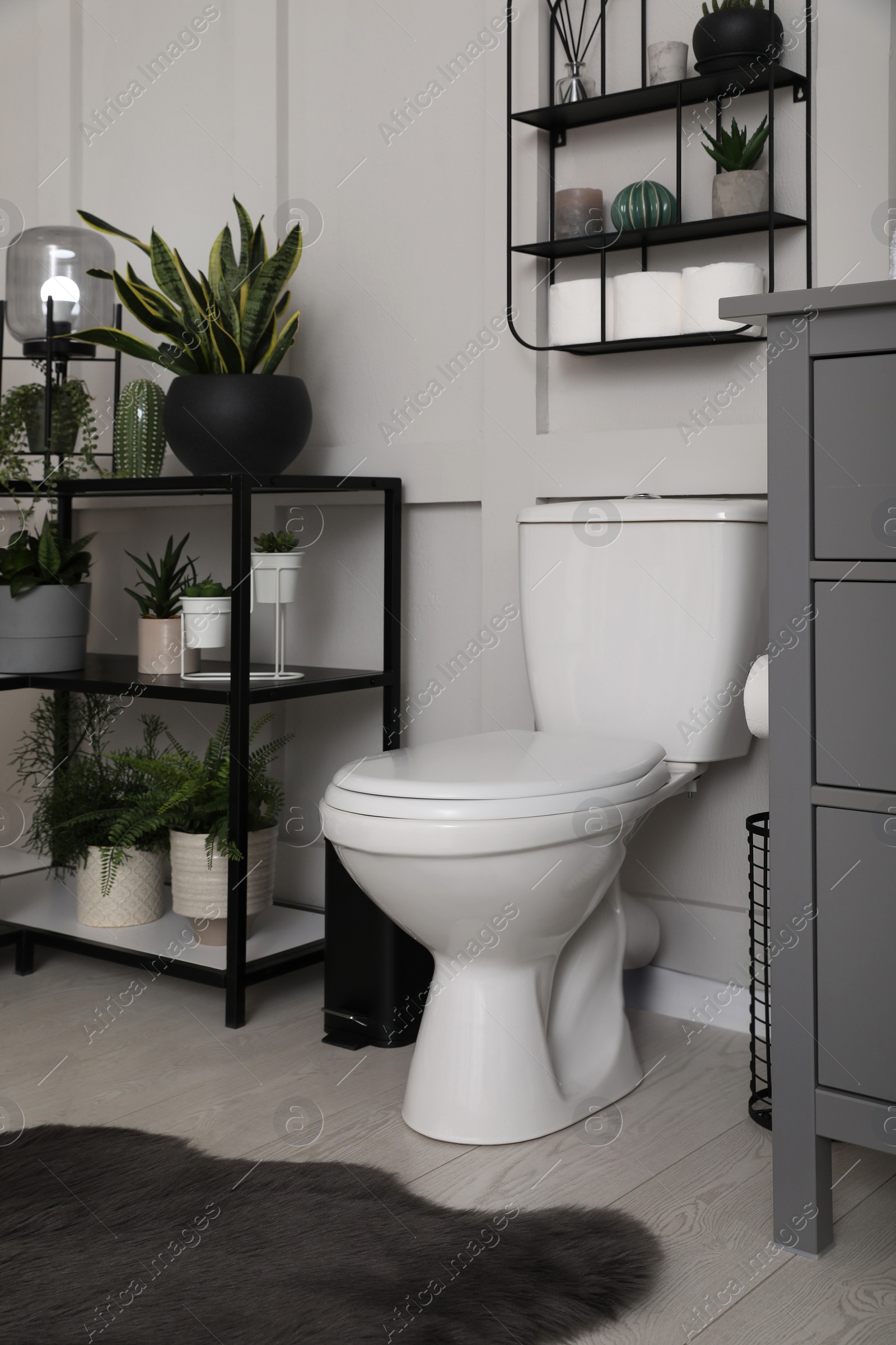 Photo of Stylish bathroom interior with toilet bowl and many beautiful houseplants