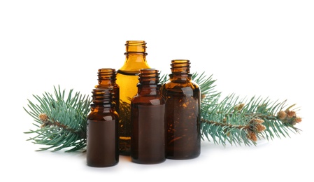 Different little bottles with essential oils and pine branches on white background