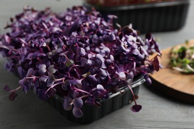 Photo of Fresh radish microgreens in plastic container on grey wooden table, closeup