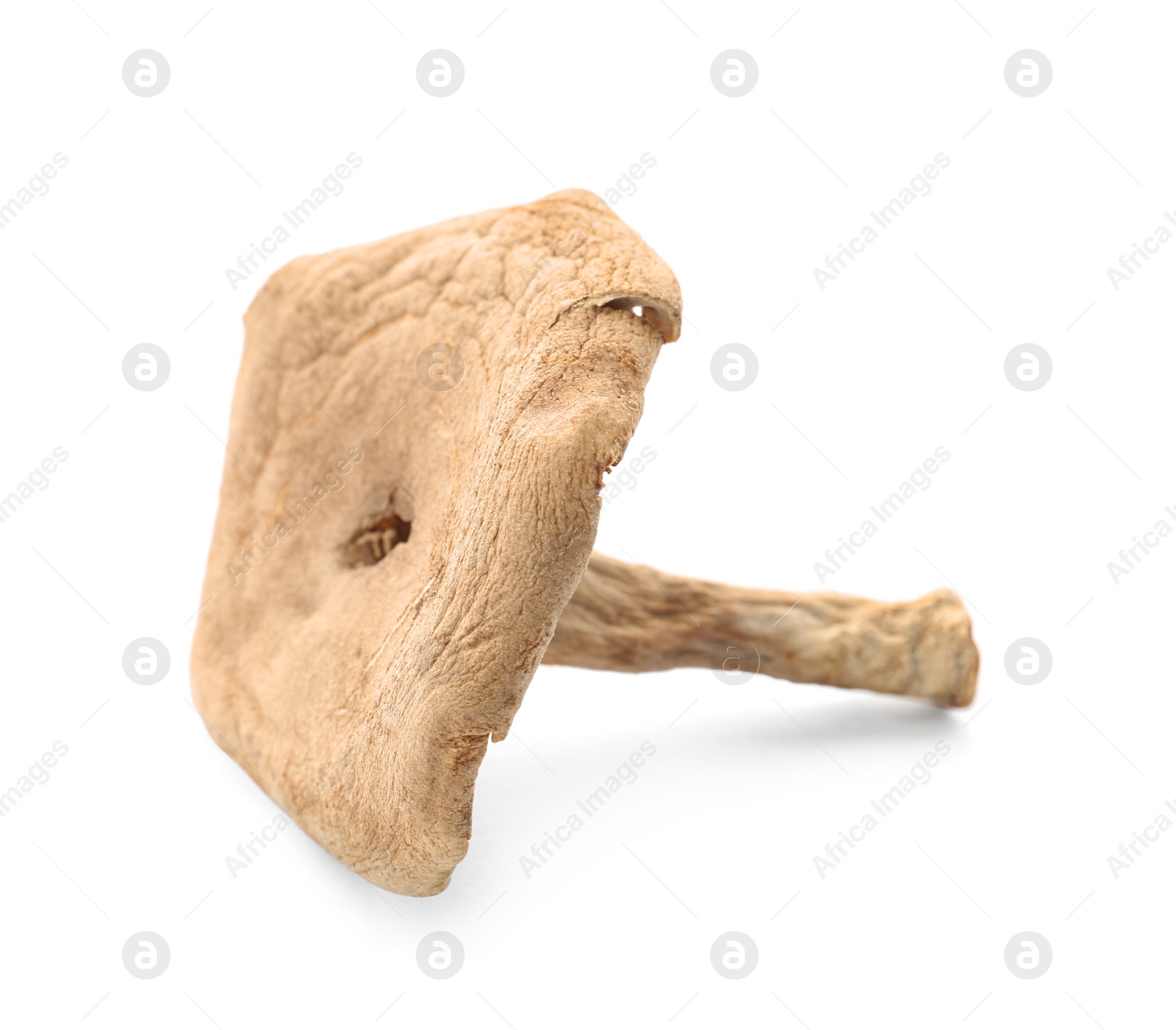 Photo of Dried aromatic chanterelle mushroom isolated on white