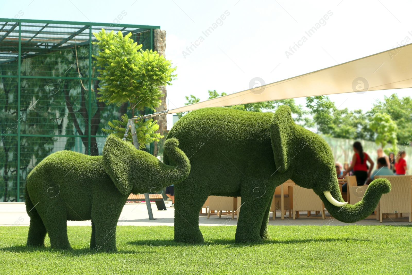 Photo of Beautiful elephant shaped topiaries at zoo on sunny day. Landscape gardening