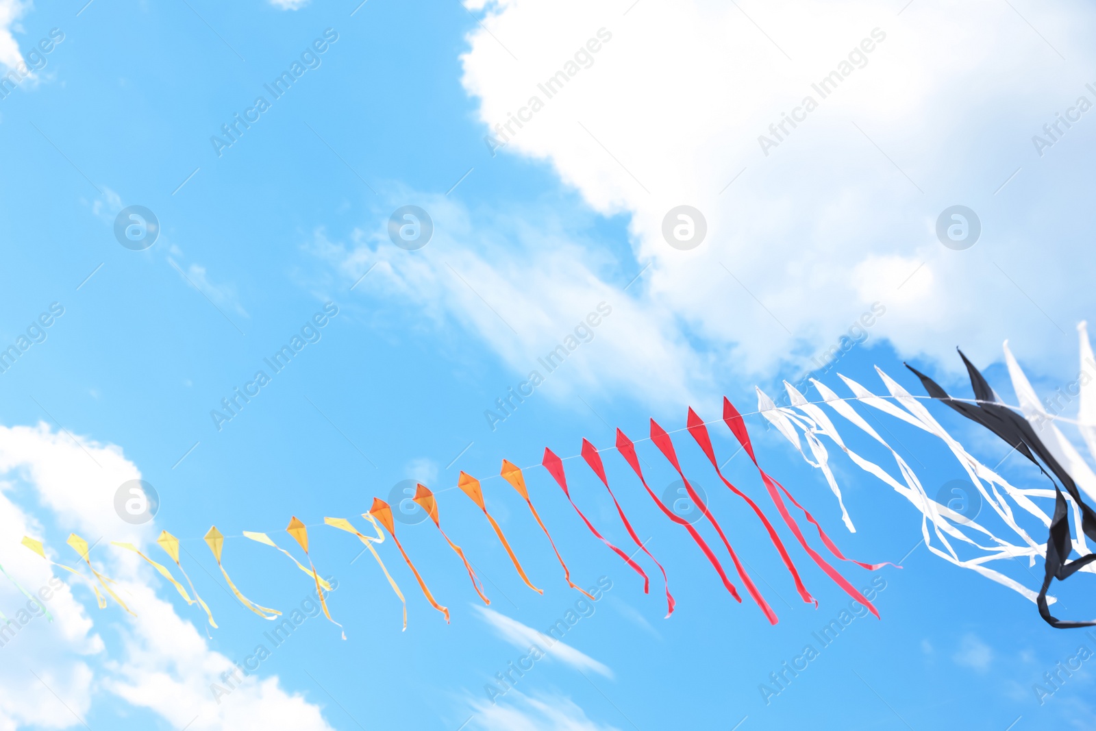 Photo of Beautiful kites drifting in blue sky