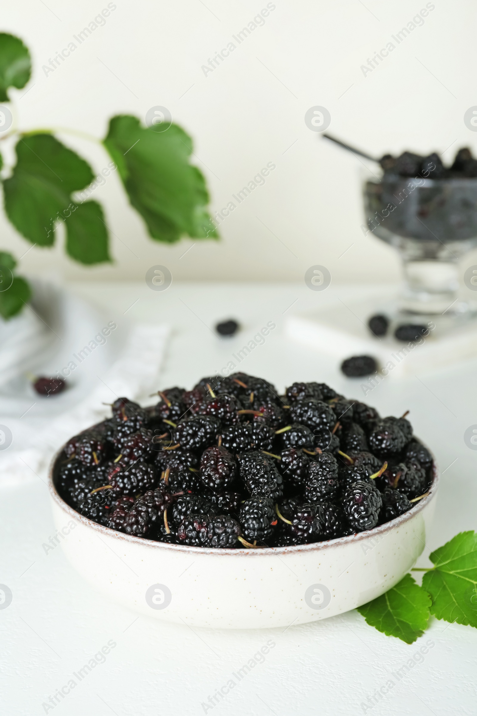 Photo of Bowl of delicious ripe black mulberries on white table