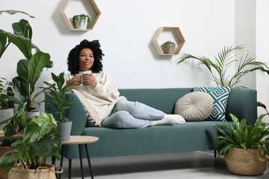 Relaxing atmosphere. Woman with cup of hot drink on sofa near beautiful houseplants in room