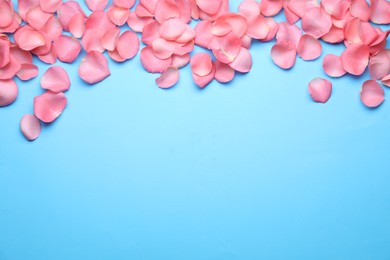 Photo of Beautiful pink rose flower petals on light blue background, flat lay. Space for text