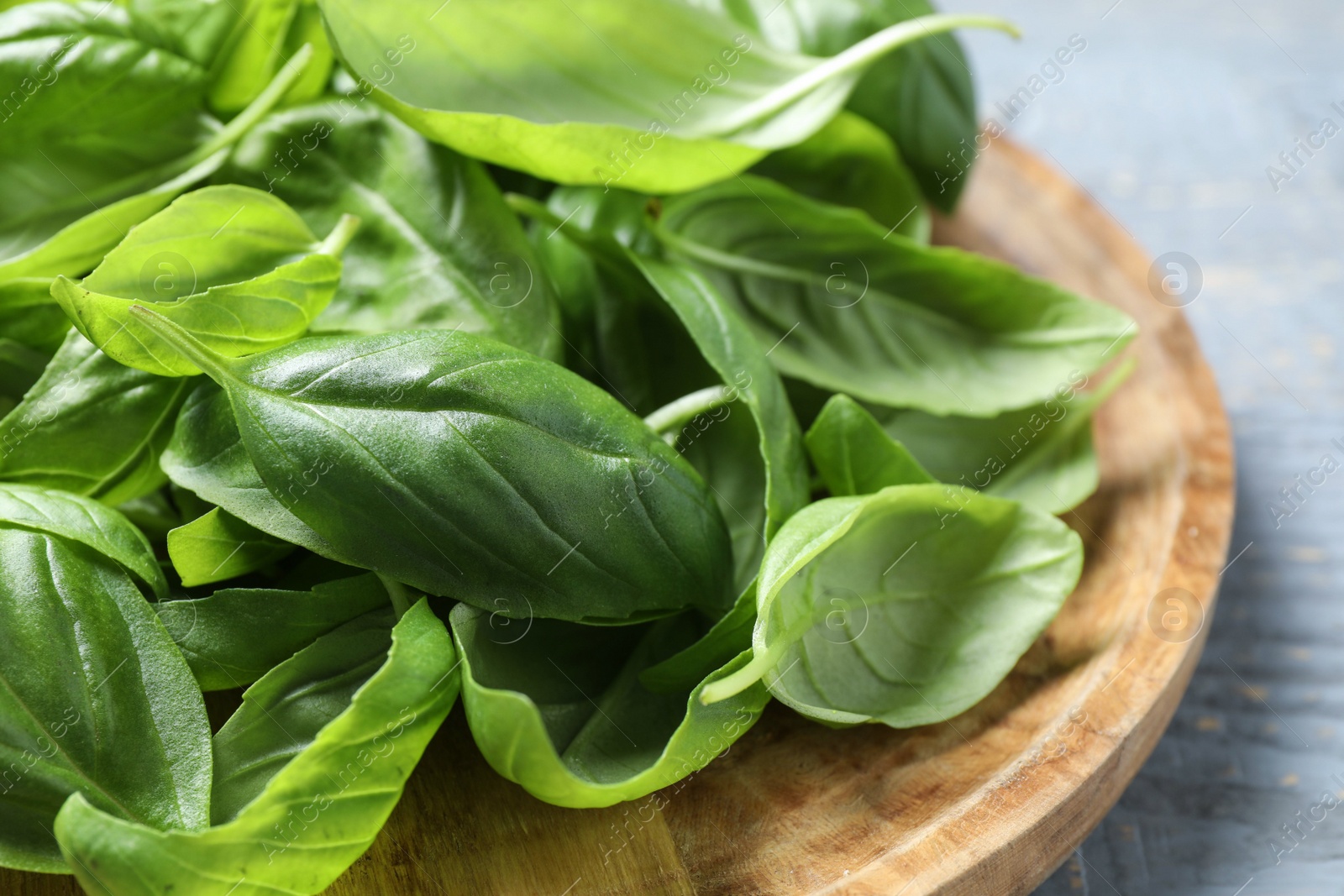 Photo of Fresh green basil on light table, closeup