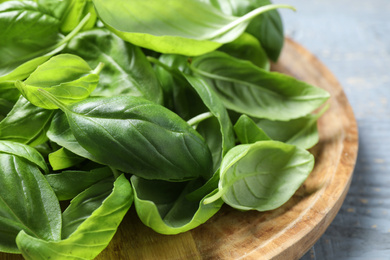 Fresh green basil on light table, closeup